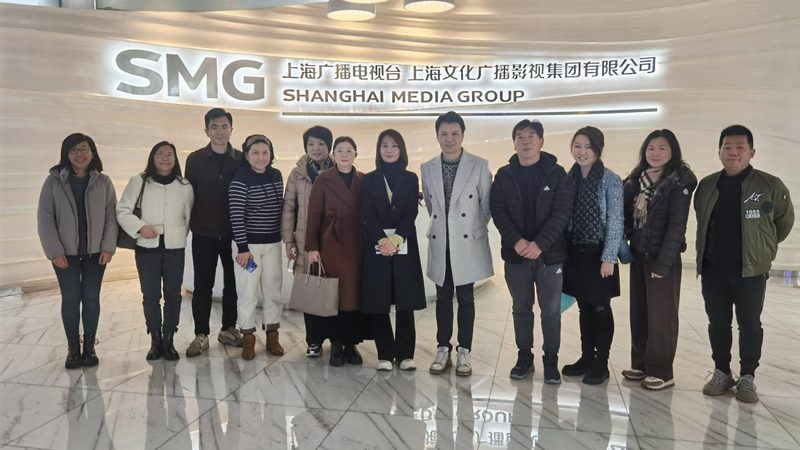 品牌全案策划：揭秘成功案例背后的策略与智慧